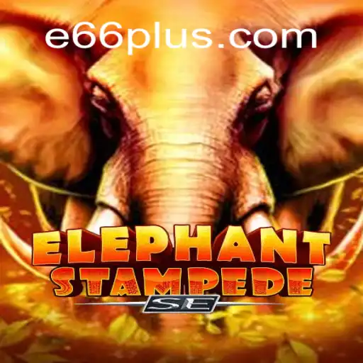 Discover the Thrill of 